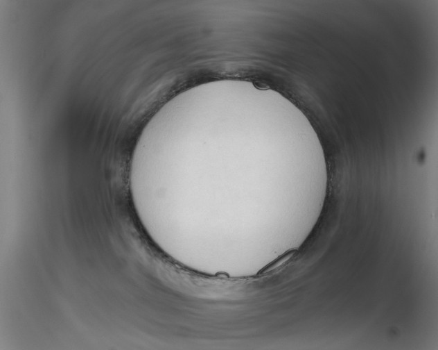 X0000116320044200912221408