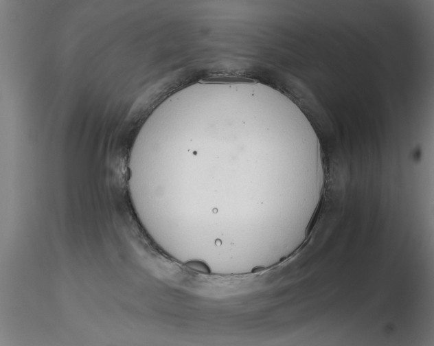 X0000116320045200912221408