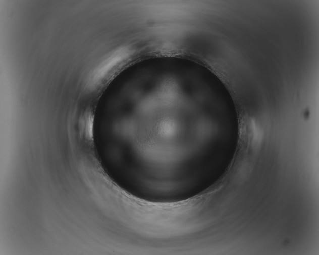 X0000116320046200912221408