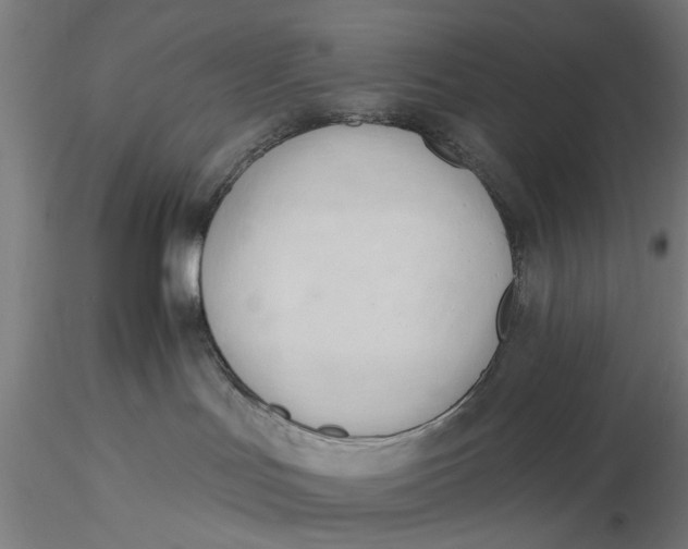 X0000116320047200912221408