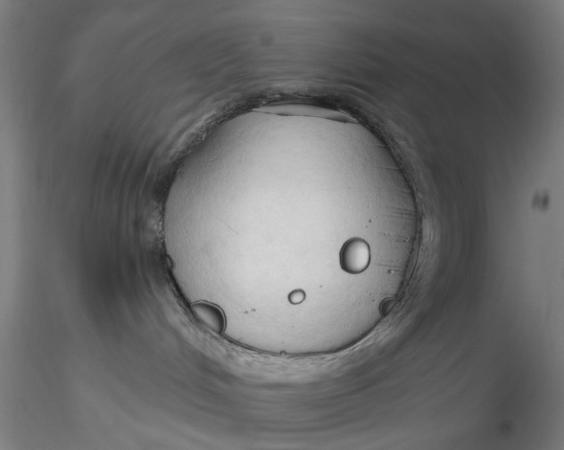 X0000116320048200912221408