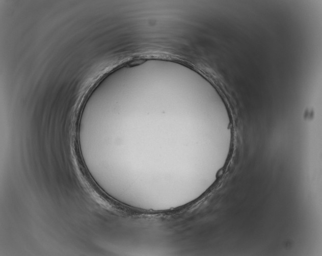 X0000116320049200912221407