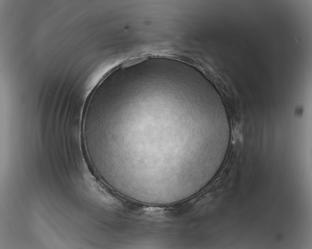 X0000116320052200912221407