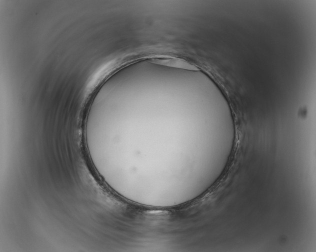 X0000116320053200912221407