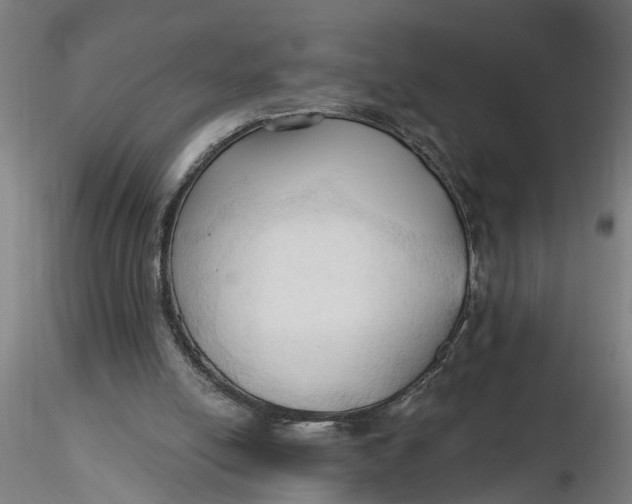 X0000116320054200912221407