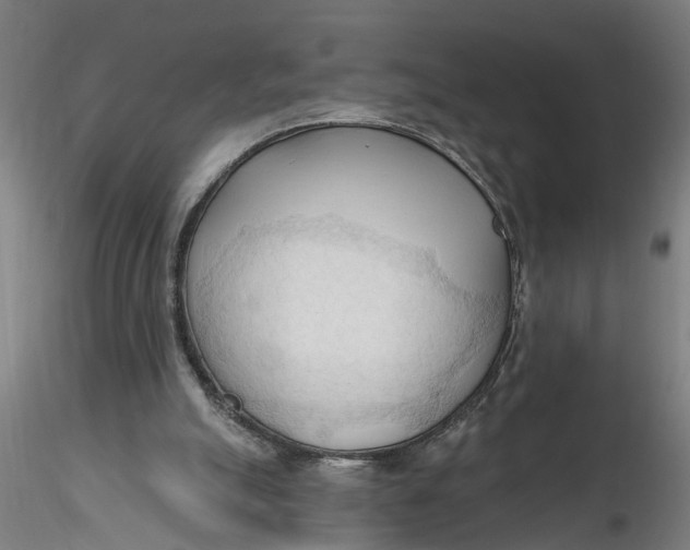 X0000116320055200912221407