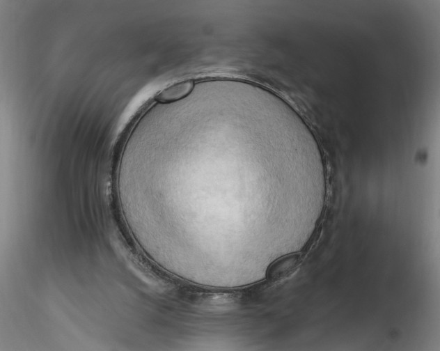 X0000116320056200912221407