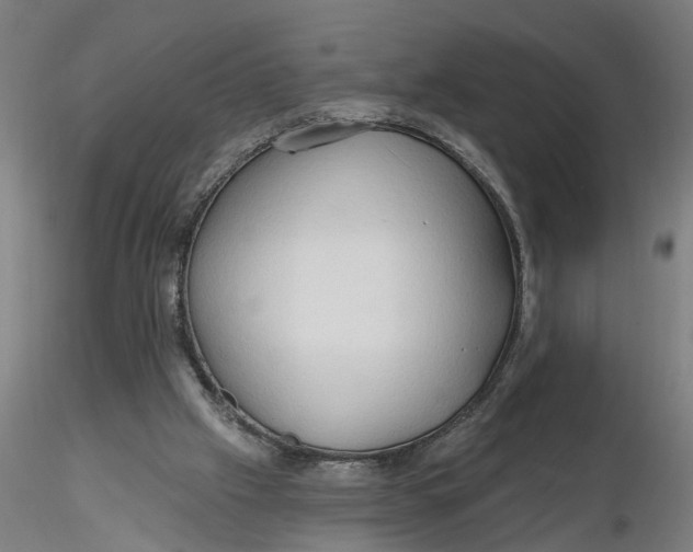 X0000116320057200912221407