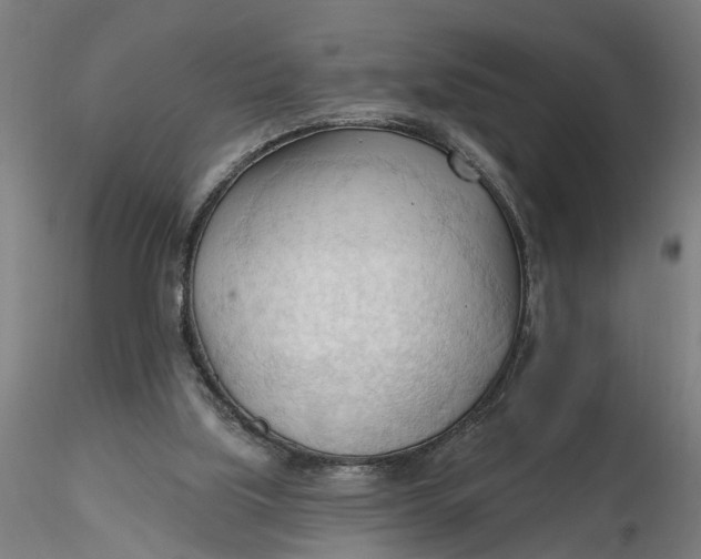 X0000116320059200912221407