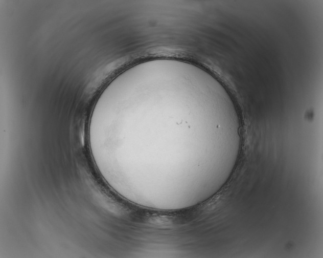 X0000116320062200912221407