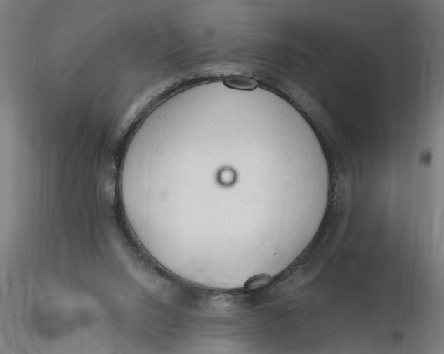 X0000116320064200912221407