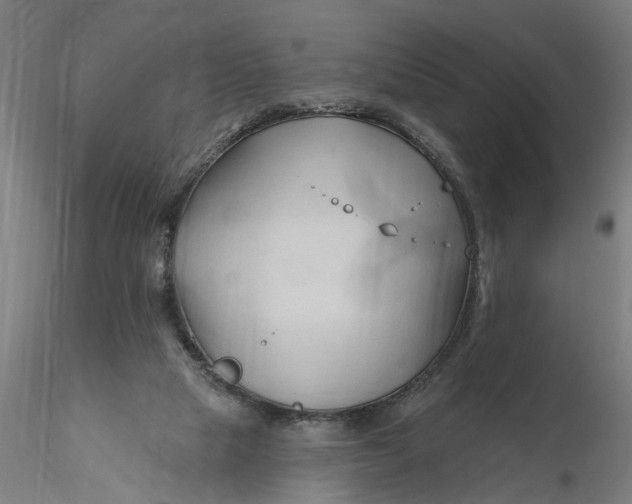 X0000116320065200912221407