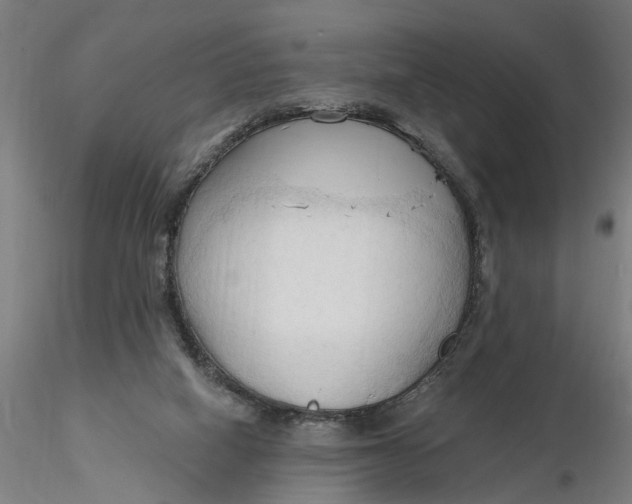 X0000116320066200912221407