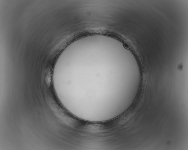 X0000116320069200912221407