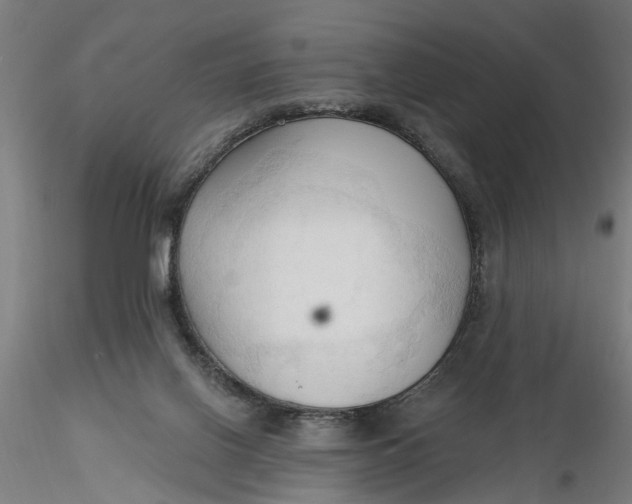 X0000116320070200912221407