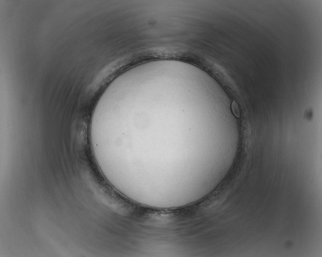 X0000116320071200912221407