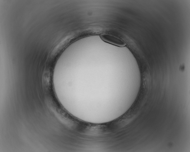 X0000116320072200912221408