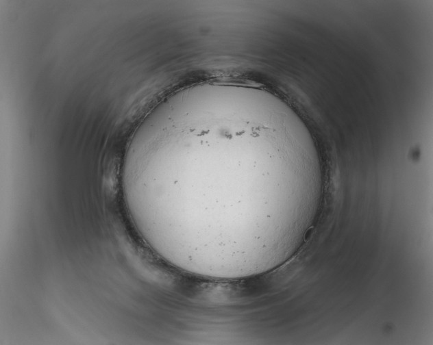 X0000116320074200912221408