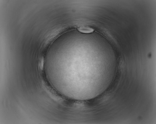 X0000116320076200912221408