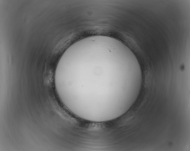 X0000116320077200912221408