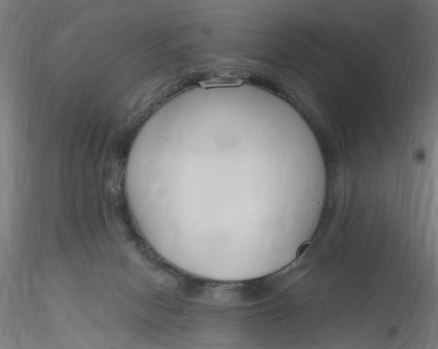 X0000116320078200912221408