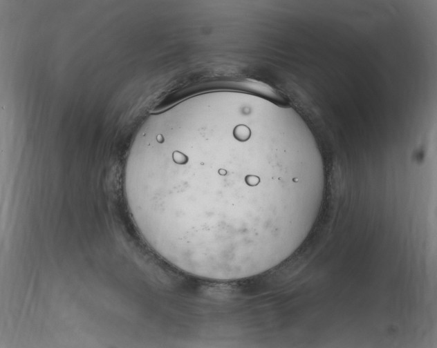 X0000116320079200912221408