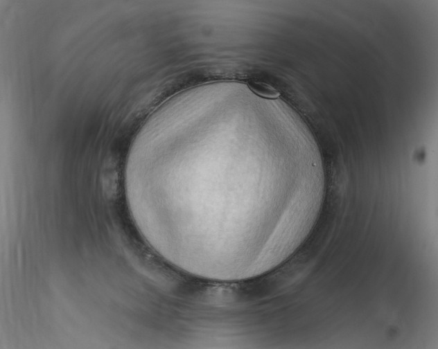 X0000116320080200912221408