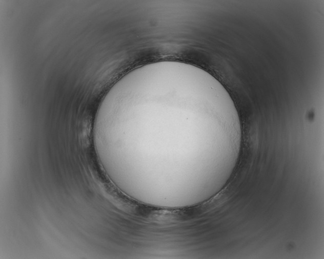 X0000116320082200912221408