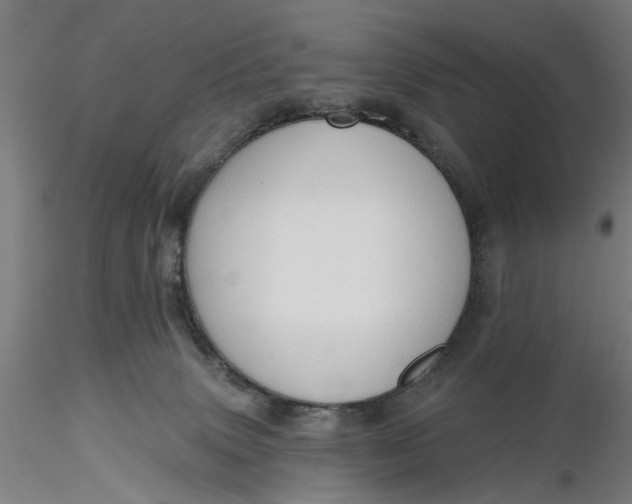 X0000116320083200912221408