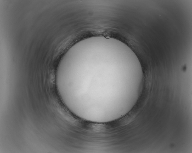 X0000116320085200912221408