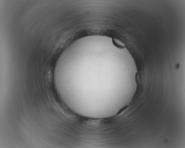 X0000116320086200912221408