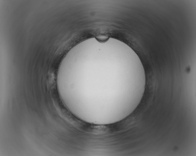 X0000116320087200912221408