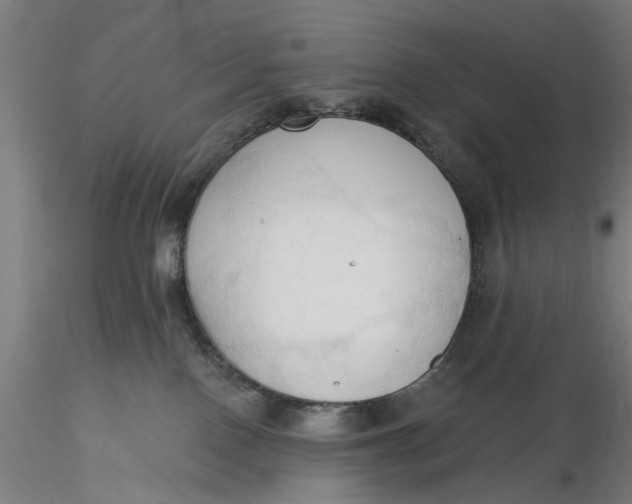 X0000116320090200912221408