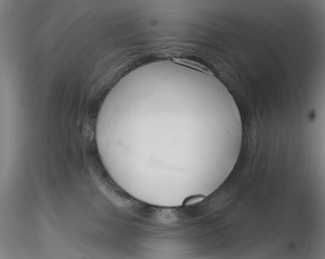 X0000116320091200912221408