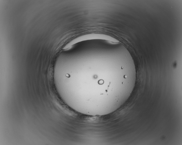 X0000116320092200912221408