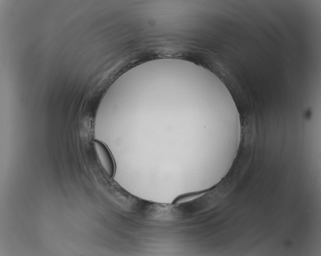 X0000116320093200912221408