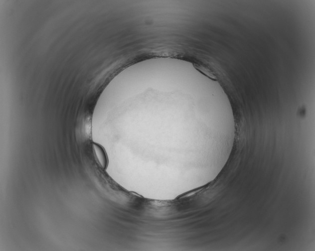 X0000116320095200912221408