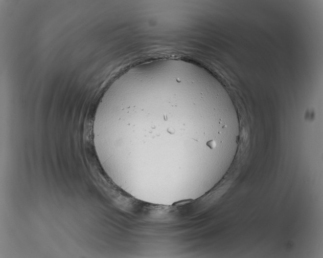 X0000116320096200912221408