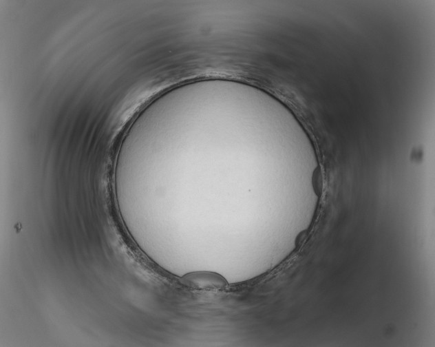 X0000116320098200912221407