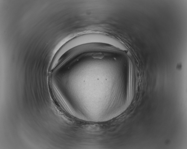 X0000116320100200912221407