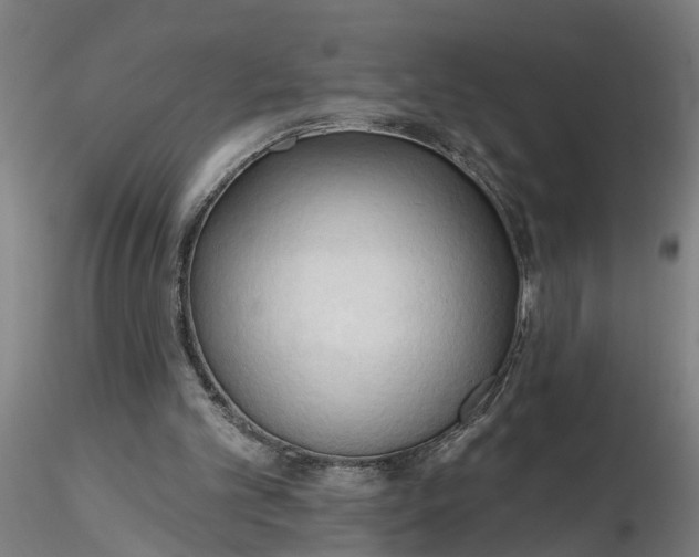 X0000116320101200912221407