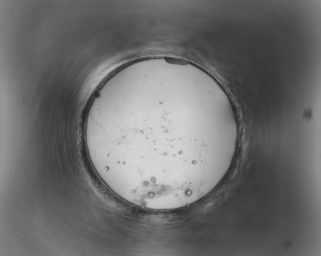 X0000116320103200912221407