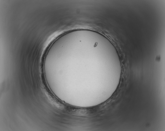 X0000116320104200912221407