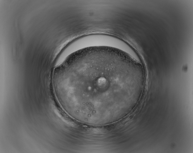 X0000116320107200912221407