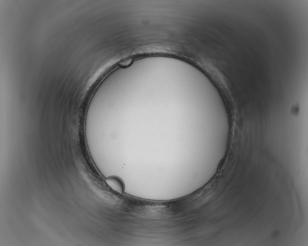 X0000116320108200912221407