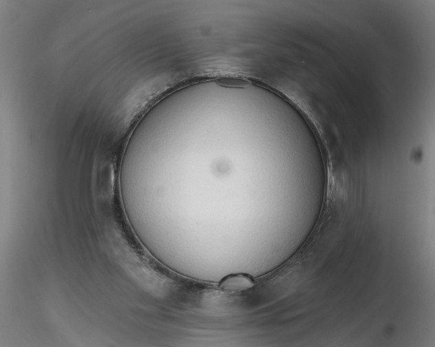 X0000116320109200912221407