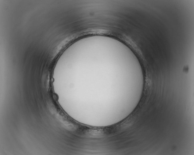 X0000116320110200912221407