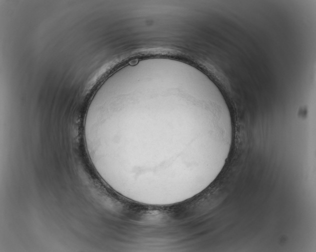 X0000116320111200912221407