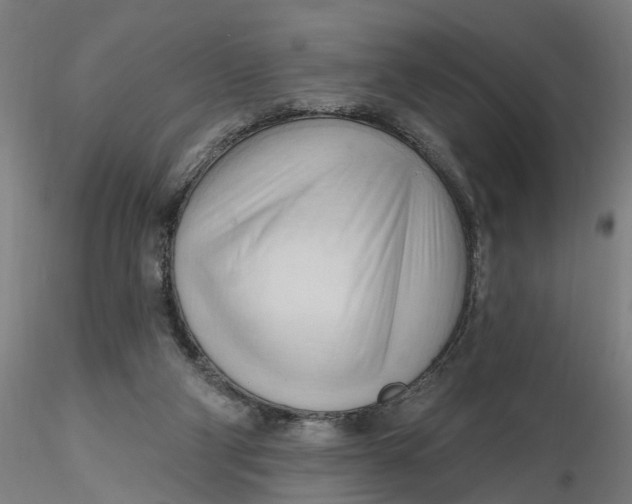 X0000116320114200912221407