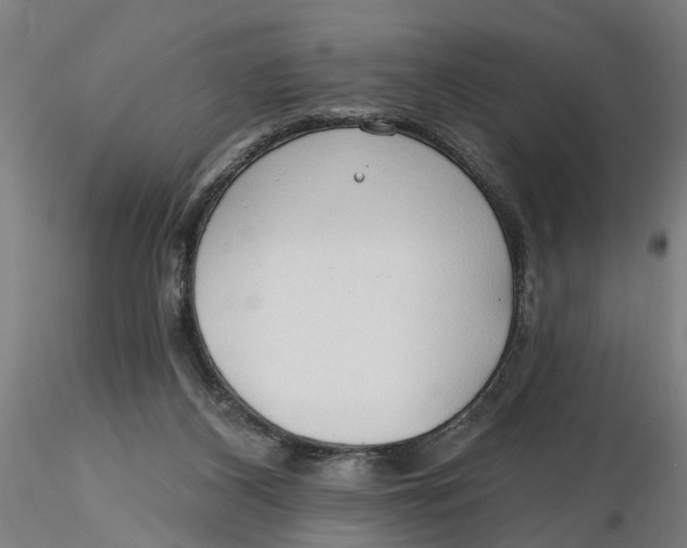 X0000116320116200912221407